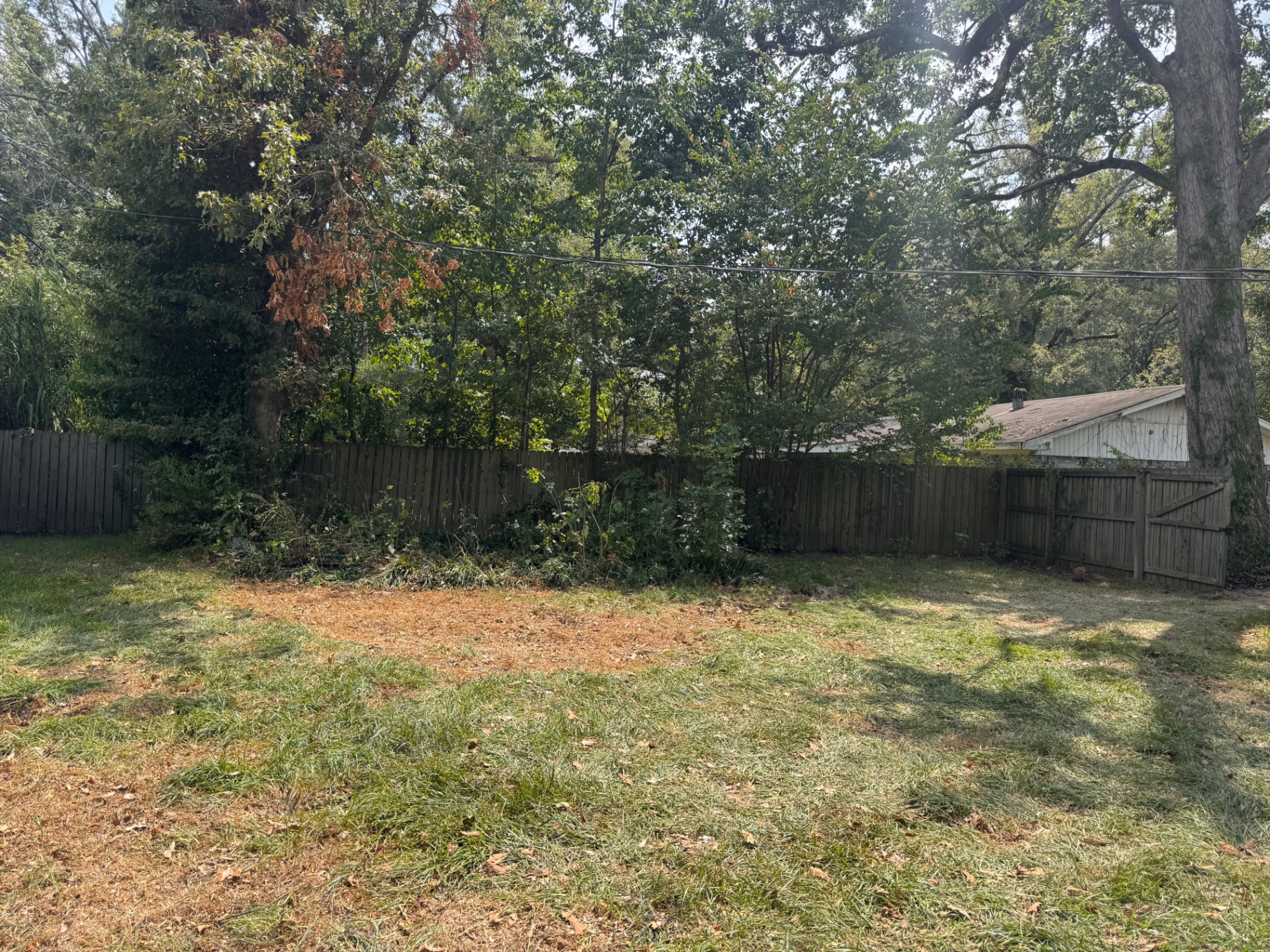 After: Downed tree hauled off and the yard cleaned up
