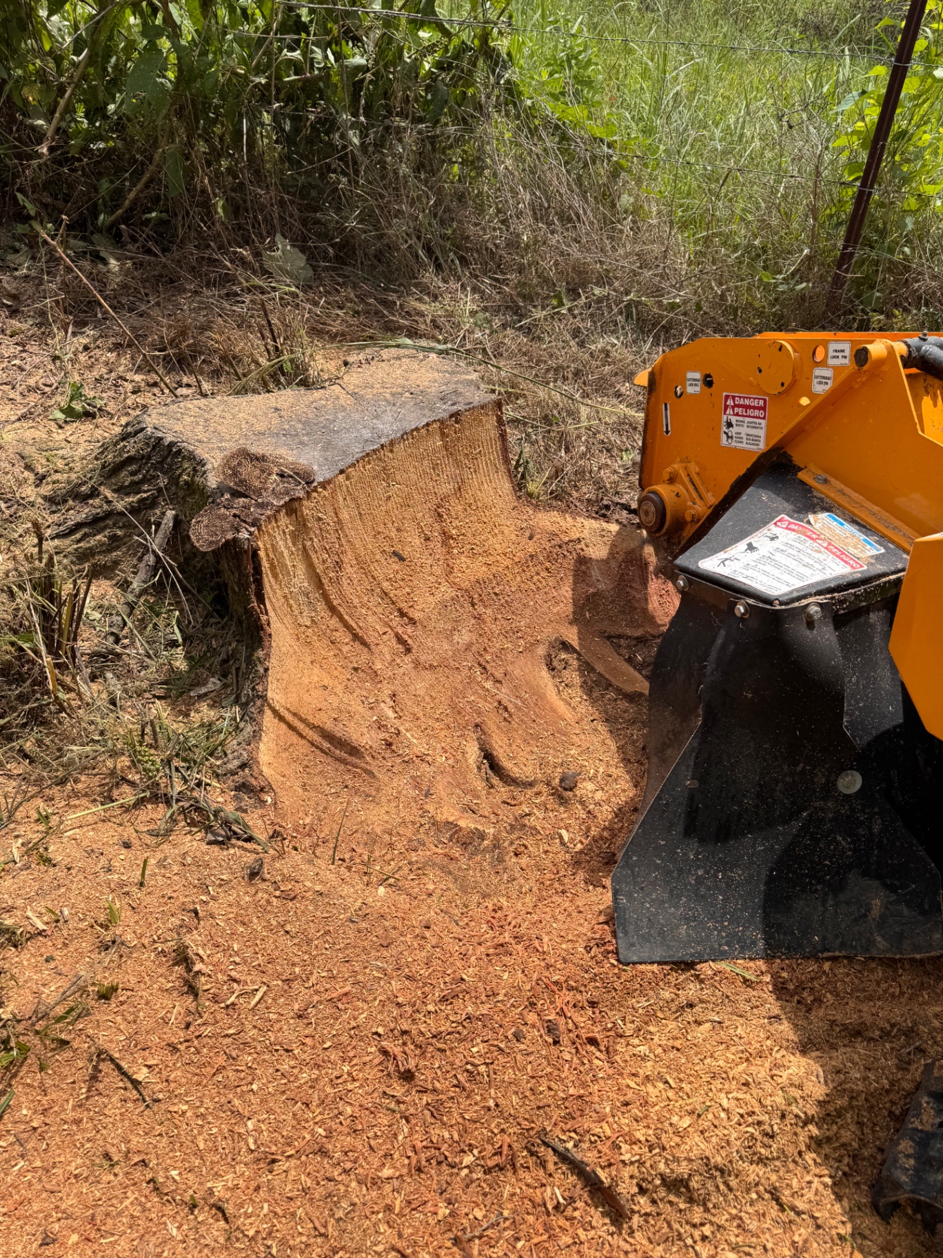 Grinding a large stump down below grade