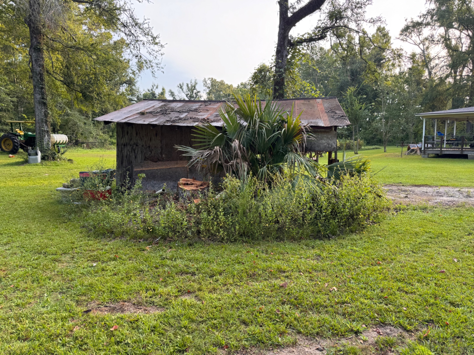 Before: Brush and stumps removed from around the shed