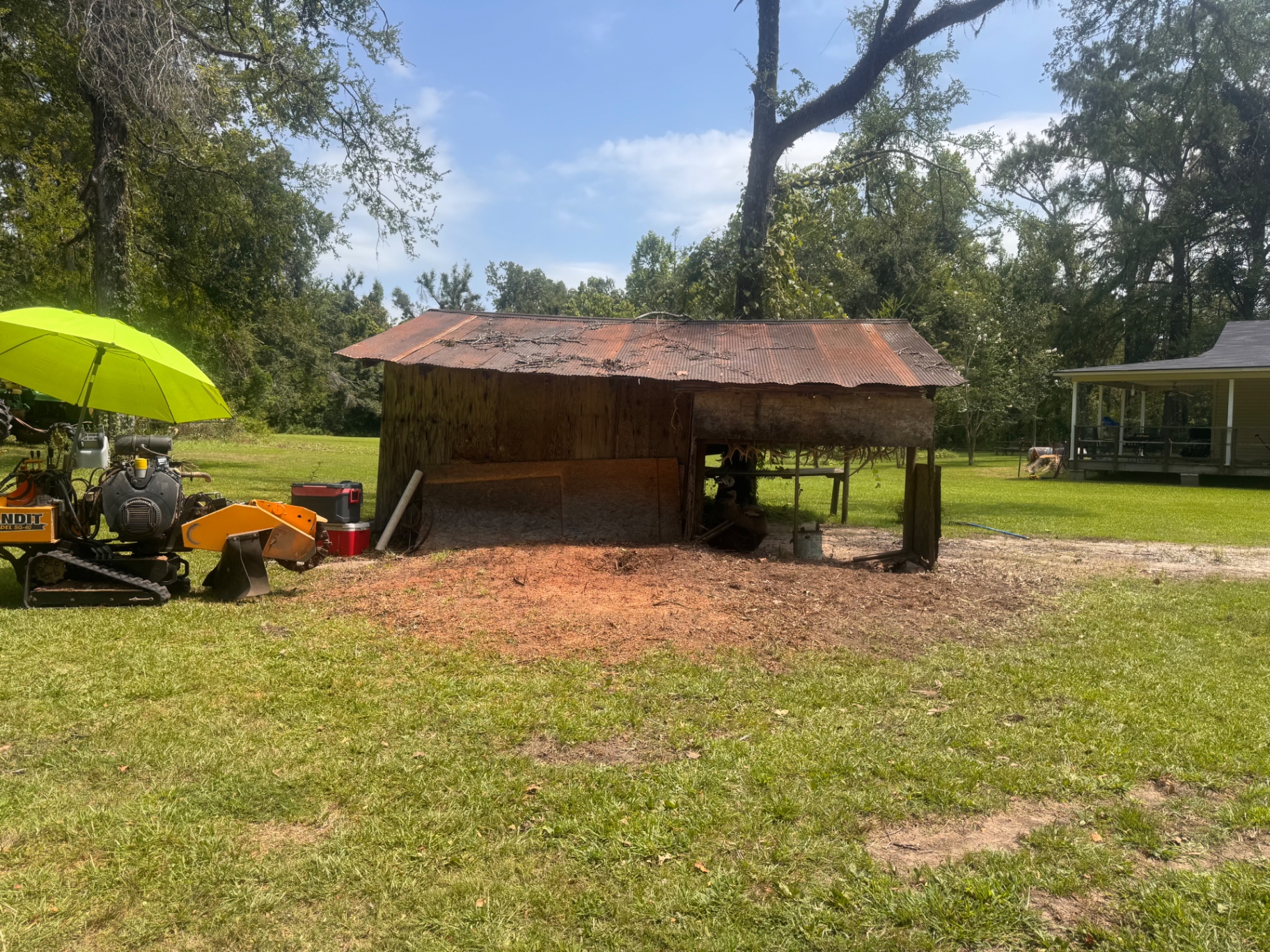 After: Brush and stumps removed from around the shed
